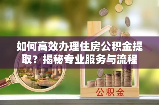 民丰如何高效办理住房公积金提取？揭秘专业服务与流程