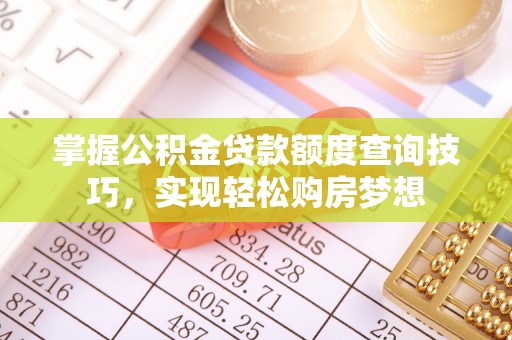 民丰掌握公积金贷款额度查询技巧，实现轻松购房梦想