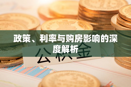 民丰政策、利率与购房影响的深度解析