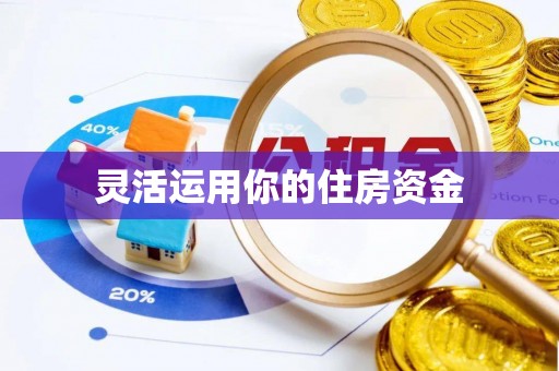 民丰灵活运用你的住房资金