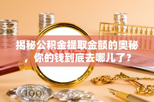 民丰揭秘公积金提取金额的奥秘，你的钱到底去哪儿了？