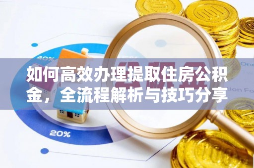 民丰如何高效办理提取住房公积金，全流程解析与技巧分享