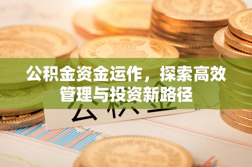 民丰公积金资金运作，探索高效管理与投资新路径