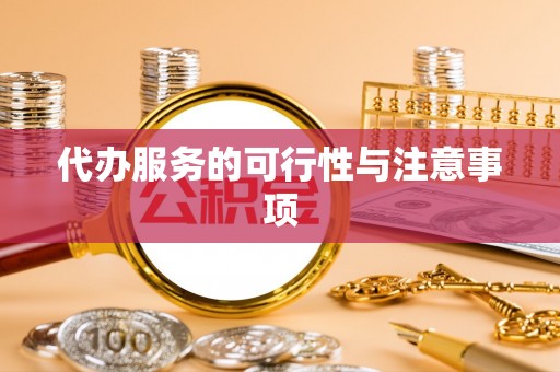民丰代办服务的可行性与注意事项