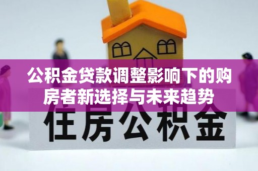 民丰公积金贷款调整影响下的购房者新选择与未来趋势