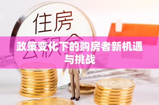 民丰政策变化下的购房者新机遇与挑战