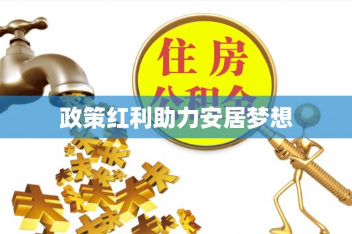 民丰政策红利助力安居梦想