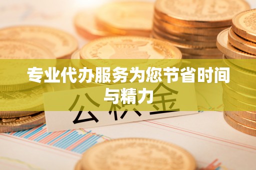 民丰专业代办服务为您节省时间与精力