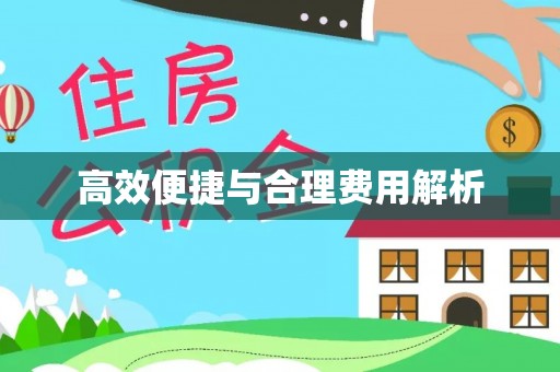 民丰高效便捷与合理费用解析