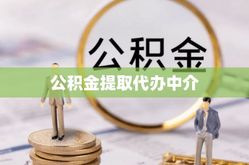 民丰公积金提取代办中介