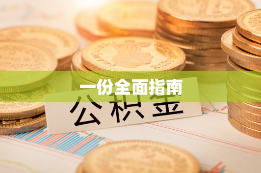 民丰一份全面指南