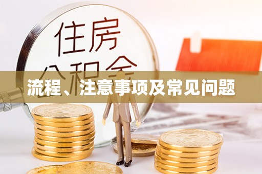 民丰流程、注意事项及常见问题
