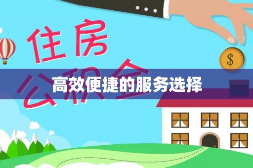 民丰高效便捷的服务选择