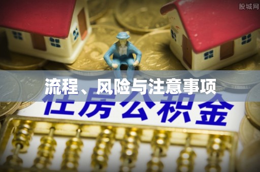 民丰流程、风险与注意事项